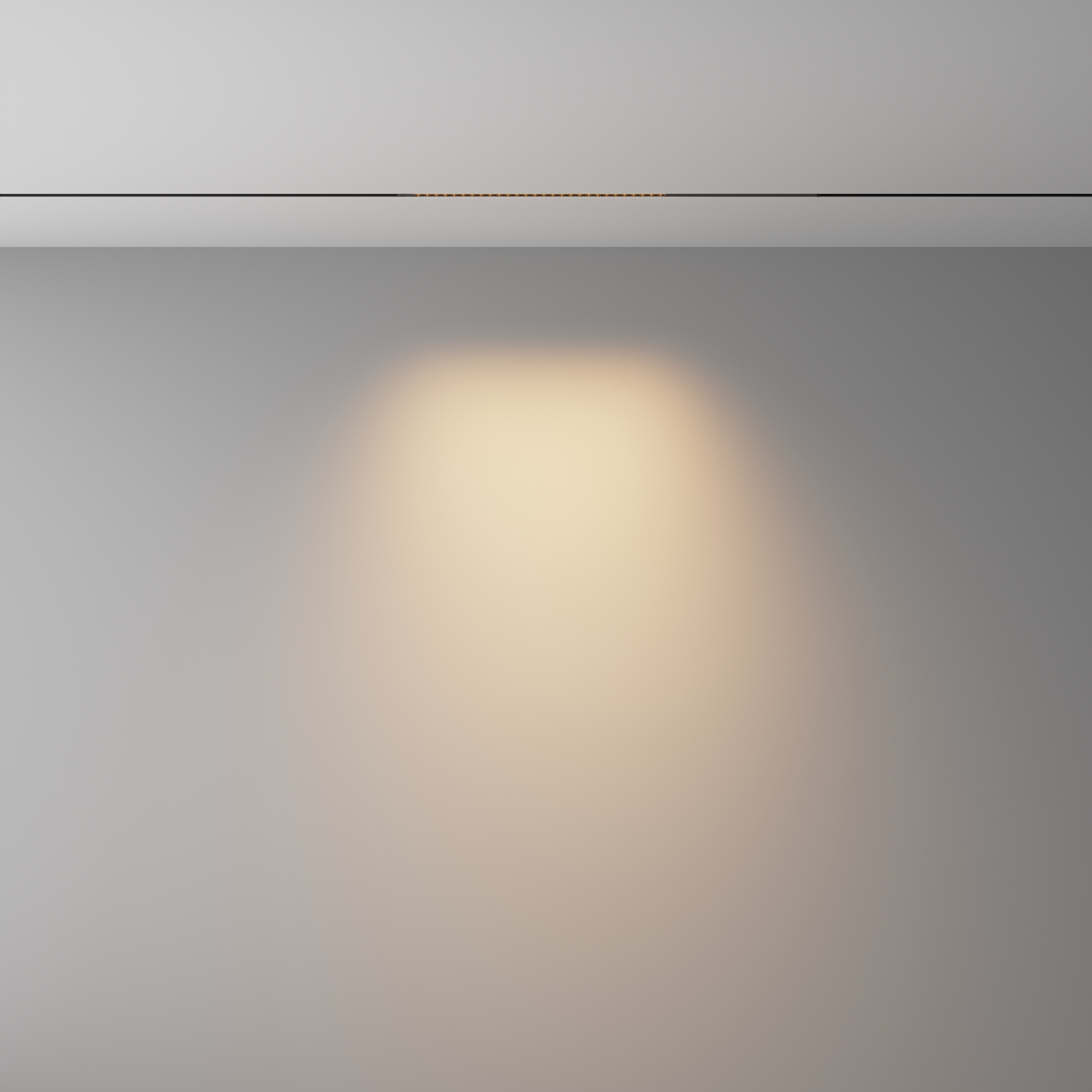 Трековый светильник -- VAMVIDNEE VV1042583 4 Трековый светильник -- VAMVIDNEE VV1042583 — изображение 4