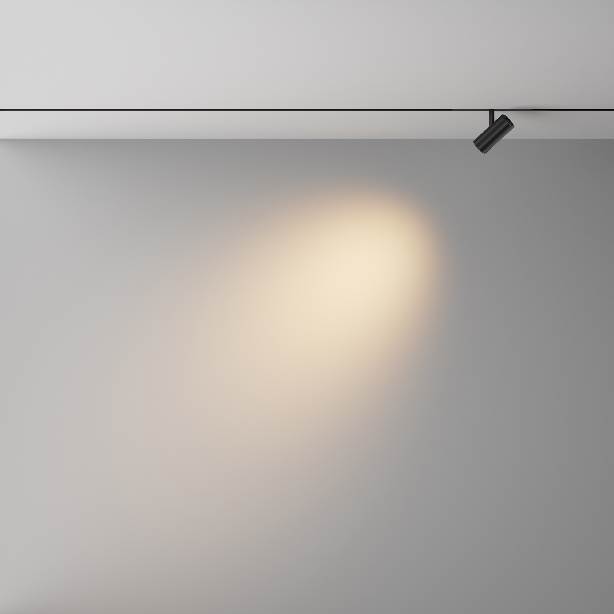 Трековый светильник VAMVIDNEE VV1042676 4 Трековый светильник VAMVIDNEE VV1042676 — изображение 4