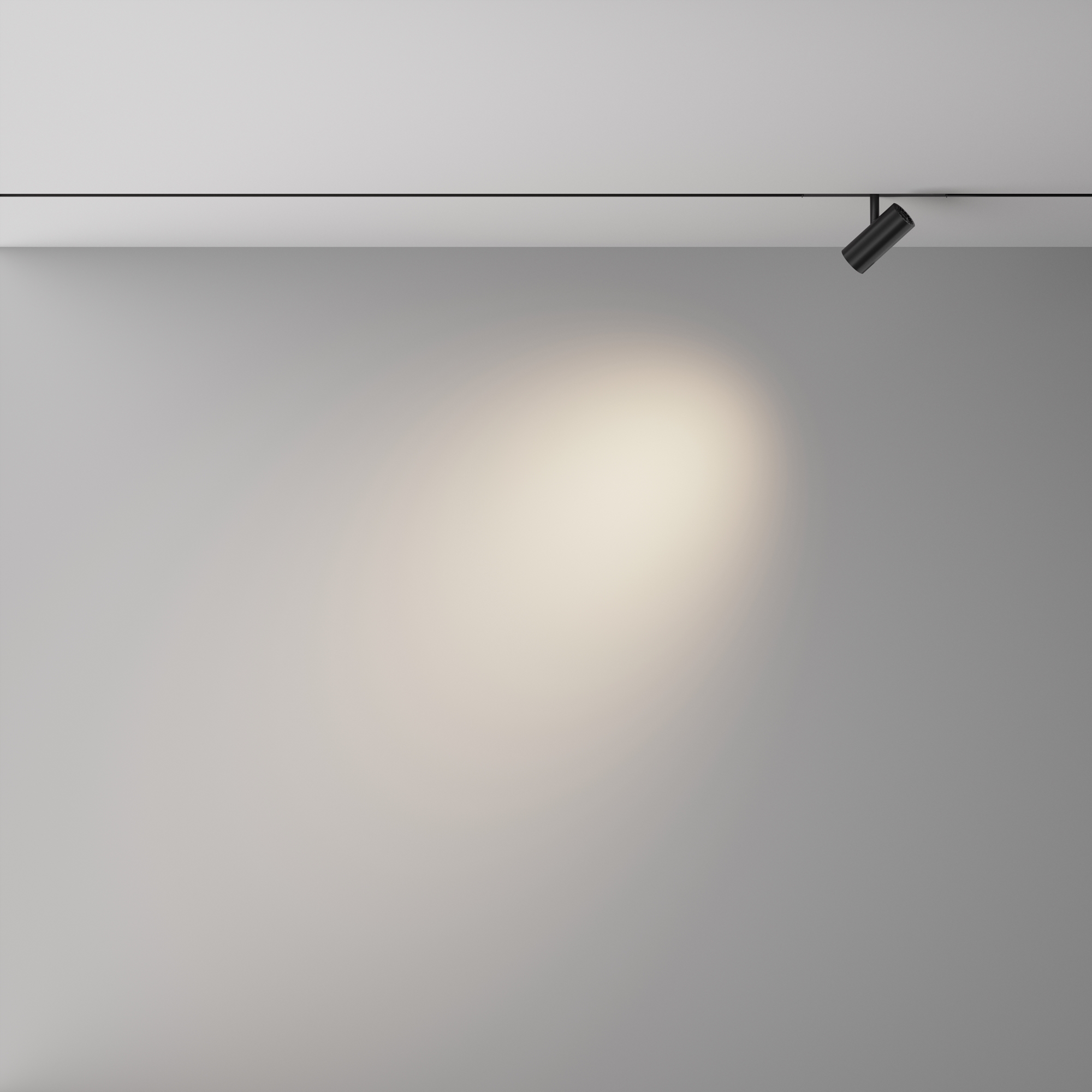 Трековый светильник VAMVIDNEE VV1042693 4 Трековый светильник VAMVIDNEE VV1042693 — изображение 4