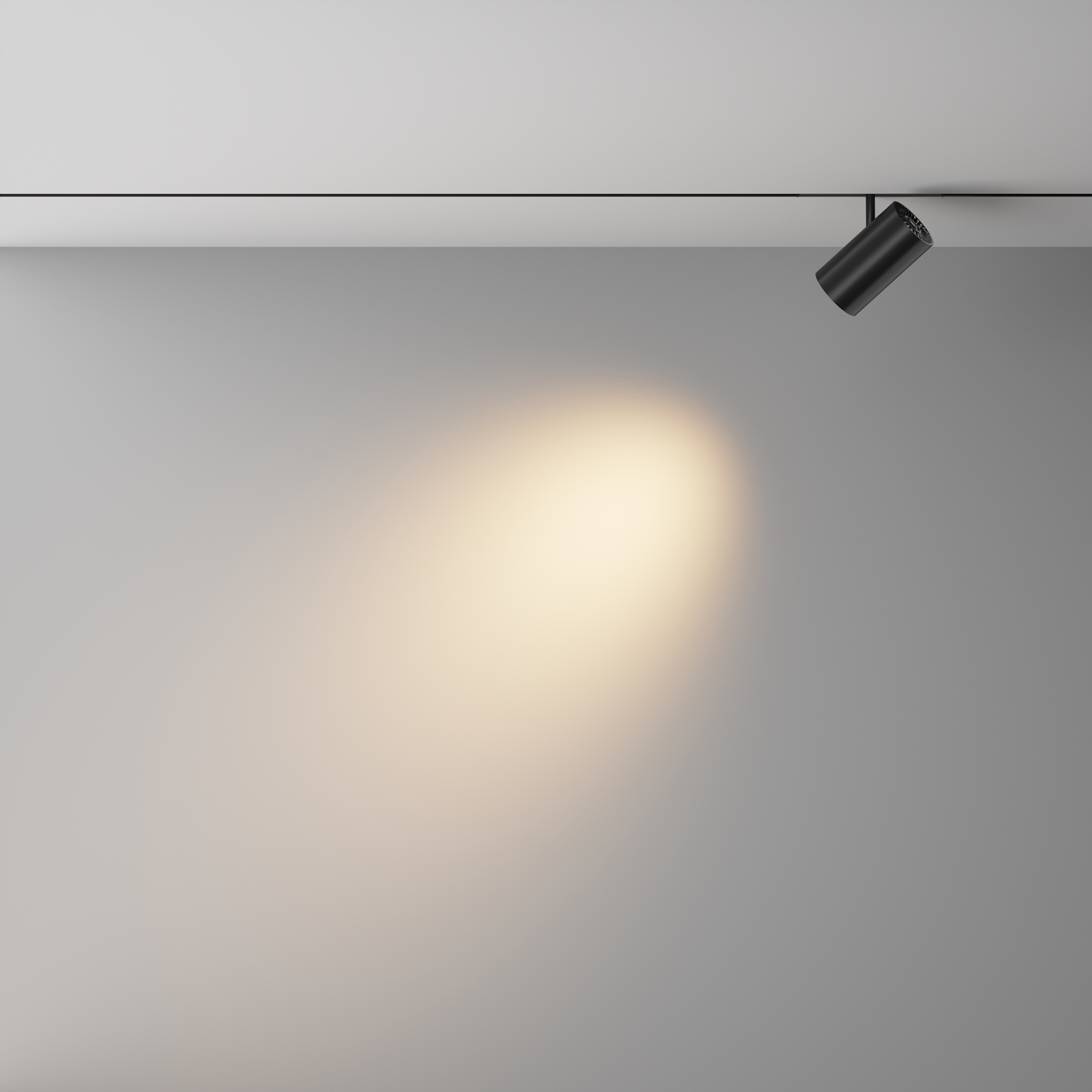 Трековый светильник VAMVIDNEE VV1045871 4 Трековый светильник VAMVIDNEE VV1045871 — изображение 4