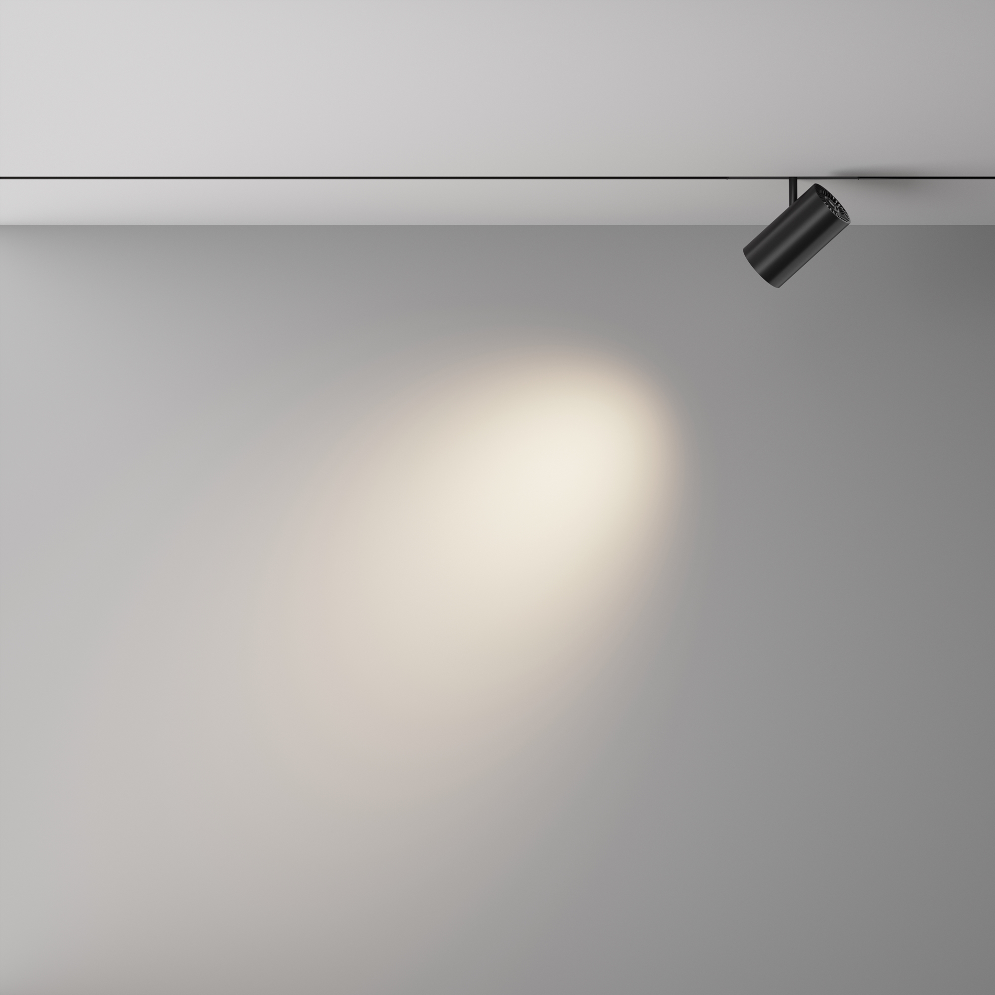 Трековый светильник VAMVIDNEE VV1045886 10 Трековый светильник VAMVIDNEE VV1045886 — изображение 10