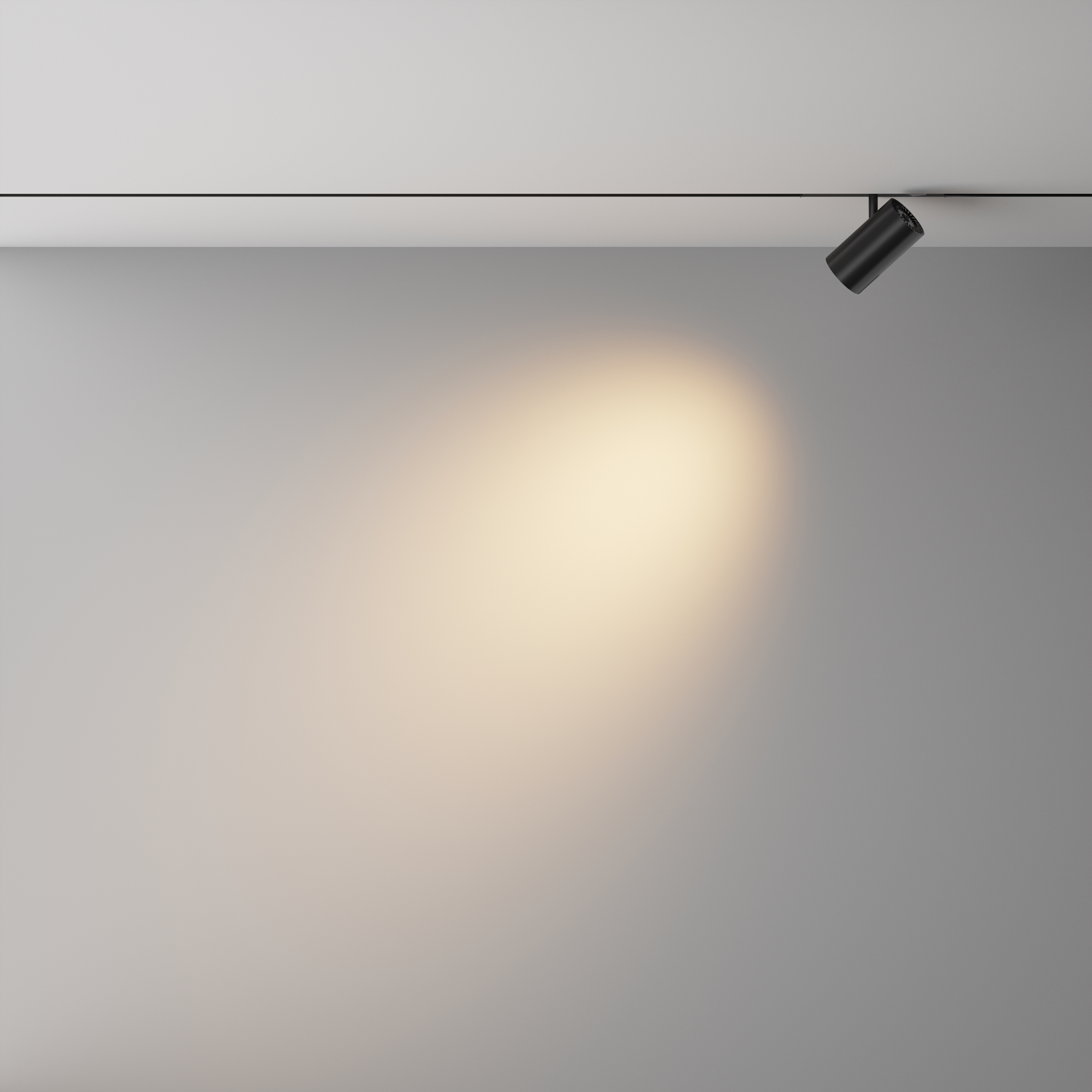 Трековый светильник -- VAMVIDNEE VV1045838 4 Трековый светильник -- VAMVIDNEE VV1045838 — изображение 4