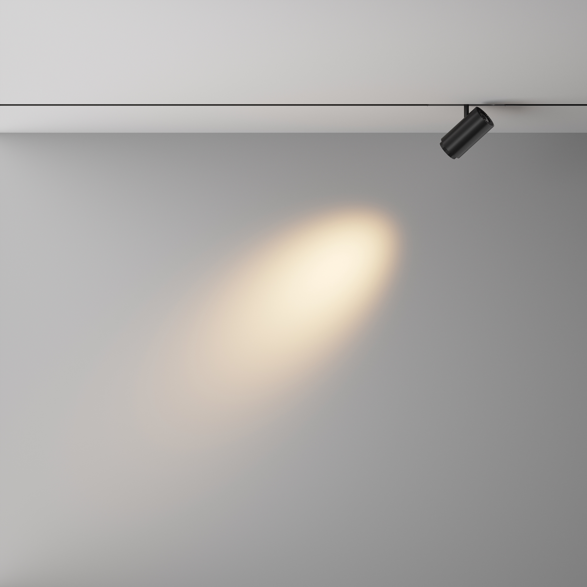 Трековый светильник -- VAMVIDNEE VV1045970 4 Трековый светильник -- VAMVIDNEE VV1045970 — изображение 4