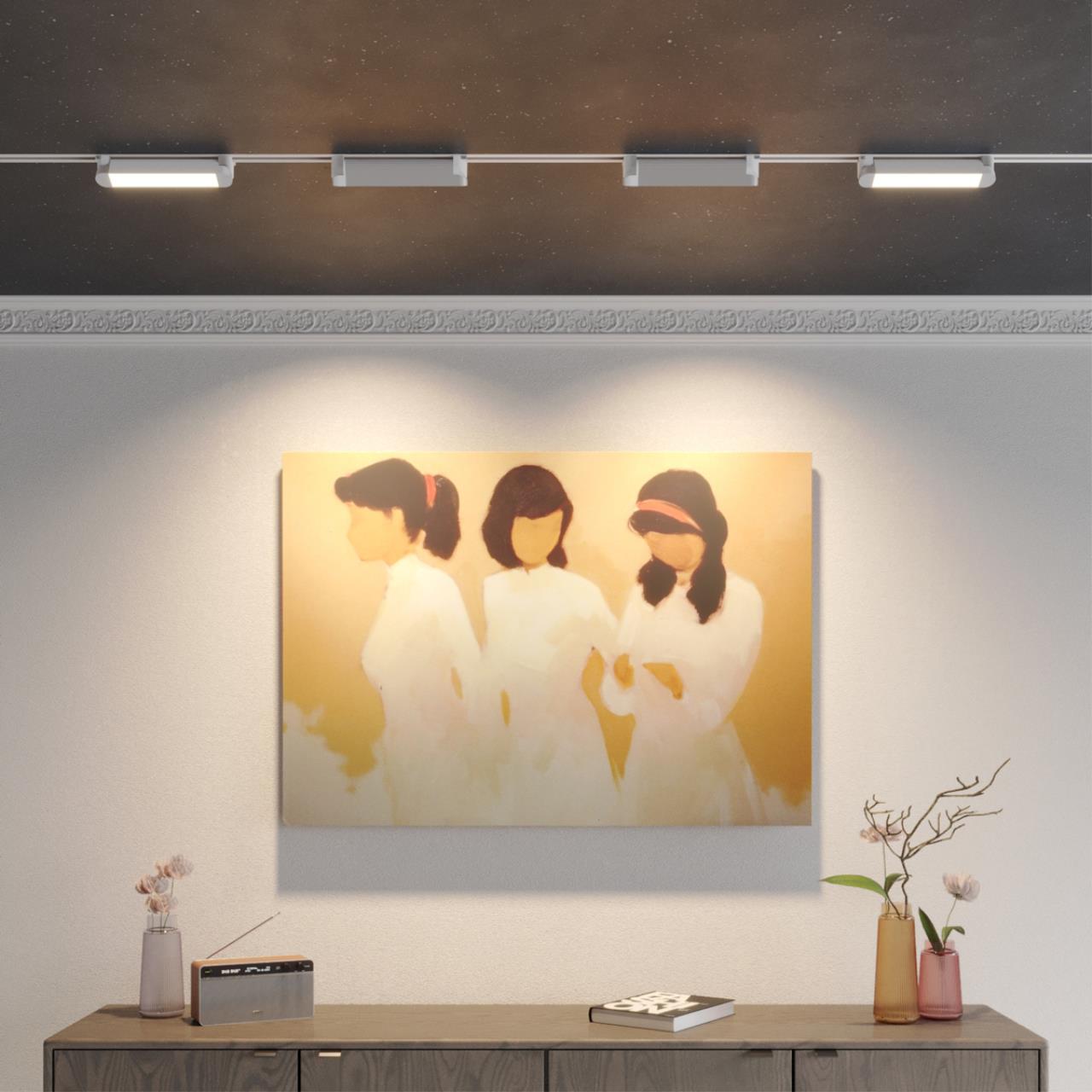 Светильник однофазный двухжильный трековый светодиодный с переключателем цветовой температуры VAMVIDNEE VV1046791 4 Светильник однофазный двухжильный трековый светодиодный с переключателем цветовой температуры VAMVIDNEE VV1046791 — изображение 4